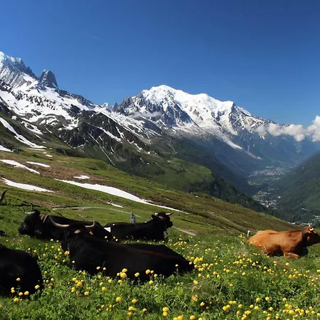 4 Saisons * Saint-Gervais-les-Bains